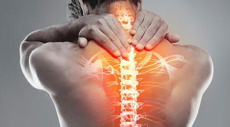 Spine and Neurosurgery